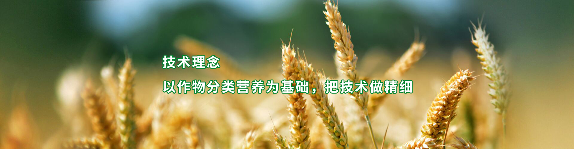 拉姆拉