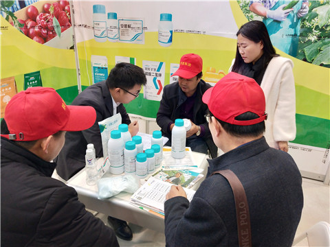 楊凌農(nóng)高會,拉姆拉 楊凌農(nóng)高會,拉姆拉