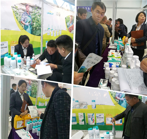 楊凌農(nóng)高會,拉姆拉 楊凌農(nóng)高會,拉姆拉