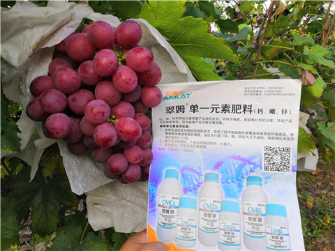 水溶肥，鈣肥，硼肥