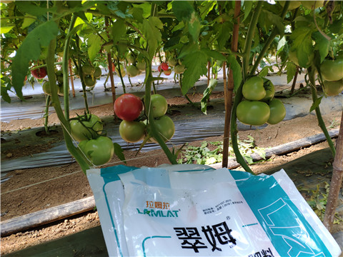 水溶肥，