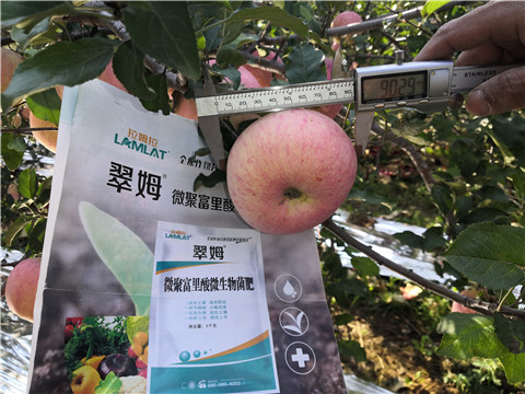 水溶肥，磷酸二氫鉀，微生物菌劑