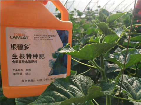 拉姆拉，根碧多，微生物菌劑
