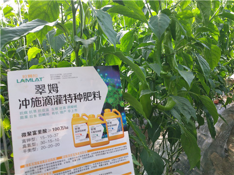 水溶肥，硼肥