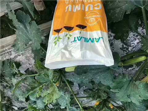 水溶肥，拉姆拉