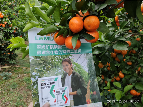 磷酸二氫鉀，鈣肥，硼肥