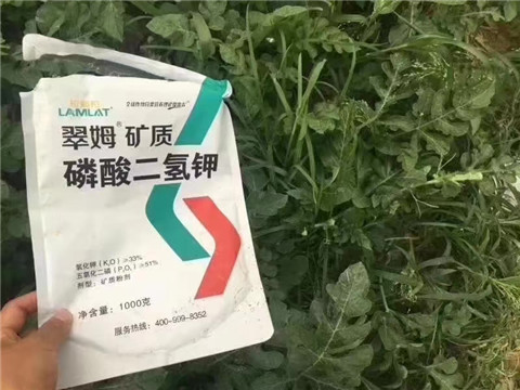 磷酸二氫鉀，硼肥，沖施肥