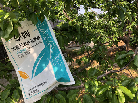 大量元素水溶肥，磷酸二氫鉀，硼肥