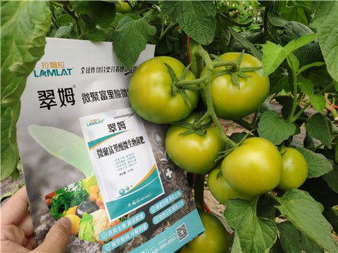 葉面肥，微生物菌劑，磷酸二氫鉀