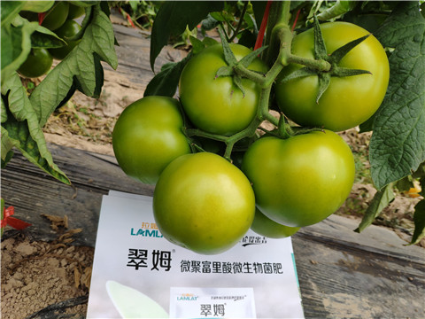葉面肥，微生物菌劑，磷酸二氫鉀