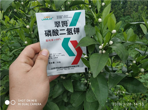 磷酸二氫鉀，硼肥，拉姆拉