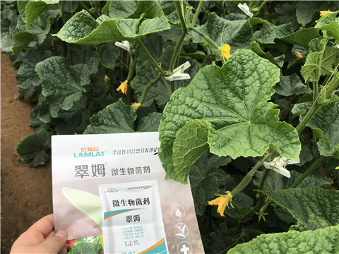 微生物菌劑，水溶肥，拉姆拉