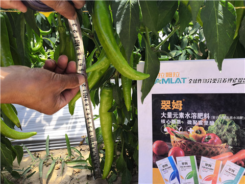 水溶肥，拉姆拉