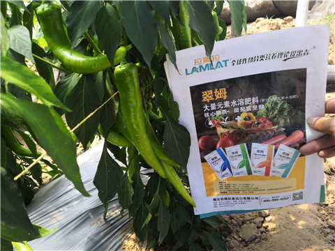 水溶肥，拉姆拉