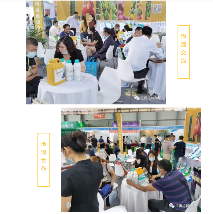 云南植保會,拉姆拉 云南植保會,拉姆拉