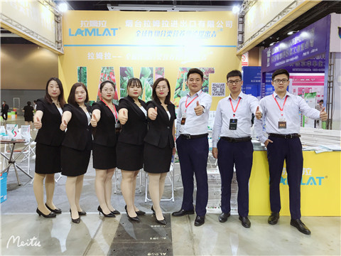 植保會，拉姆拉，翠姆