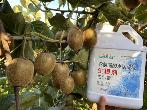 水溶肥，拉姆拉