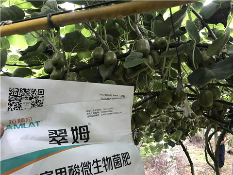 微生物菌劑，平衡顆粒復合肥，翠姆，拉姆拉