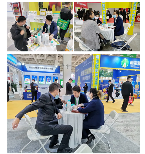 水溶肥，拉姆拉，翠姆