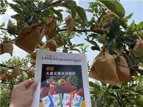 大量元素水溶肥，拉姆拉，翠姆