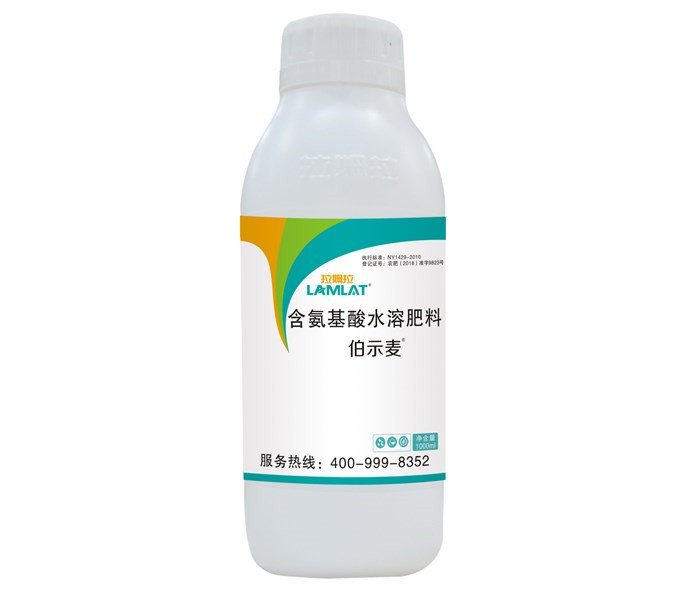 葉面肥，拉姆拉，伯示麥