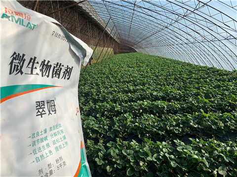 微生物菌劑，拉姆拉，翠姆