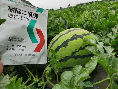 水溶肥，翠姆，拉姆拉