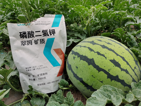 水溶肥，翠姆，拉姆拉