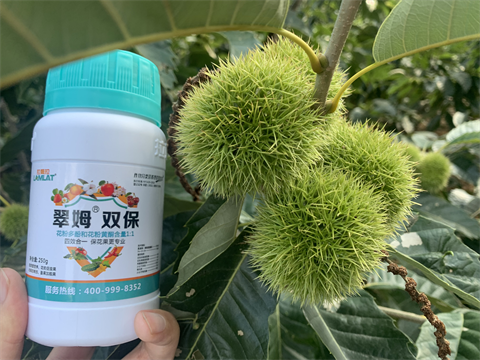 水溶肥品牌,板栗?；ū９?翠姆雙保
