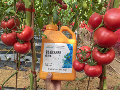 水溶肥品牌,拉姆拉,滴灌級(jí)特種肥