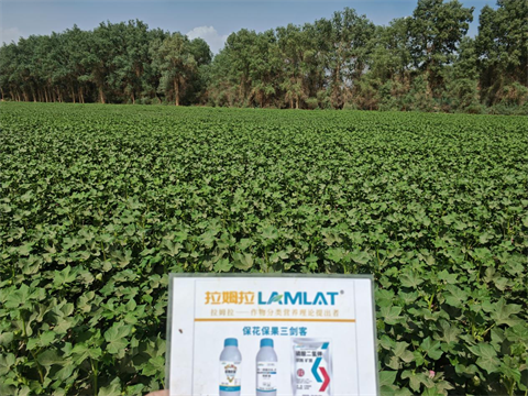 水溶肥品牌,棉花種植,拉姆拉滴灌級特種肥