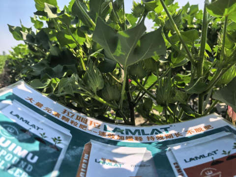 水溶肥品牌,棉花種植,拉姆拉滴灌級特種肥