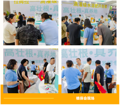 水溶肥廠家,遼寧植保會(huì),拉姆拉滴灌級(jí)特種肥